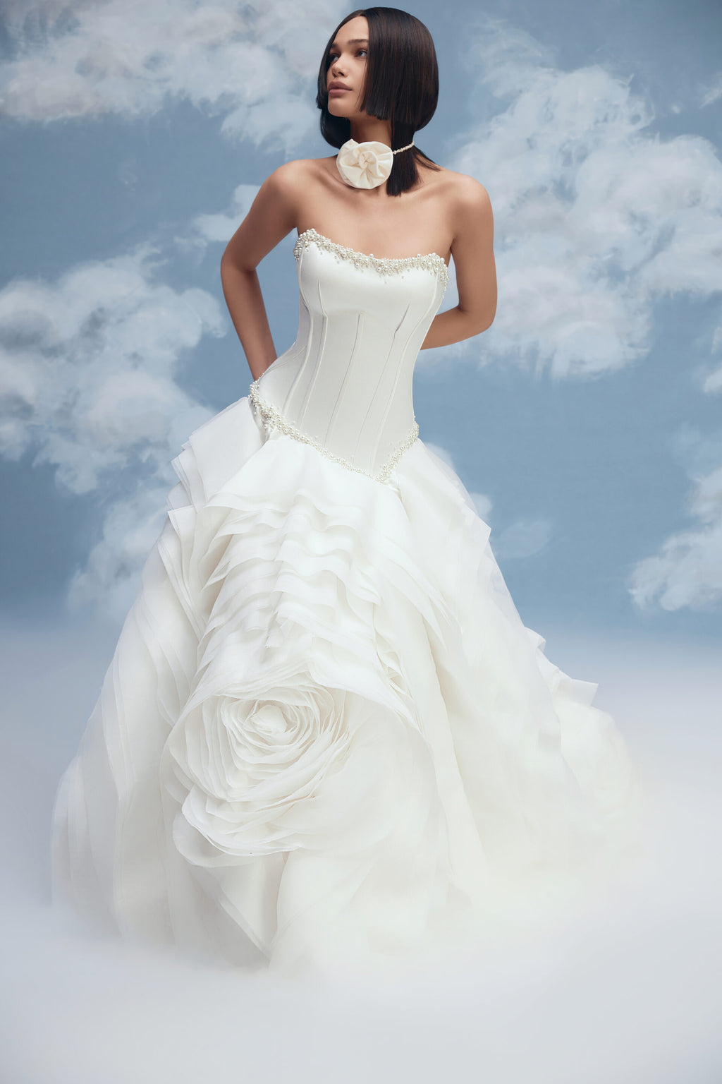 ROSANA image 0