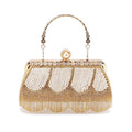 Fringed Evening Bag Ladies Bag Diamond